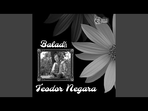 Salcamas cu floare dulce