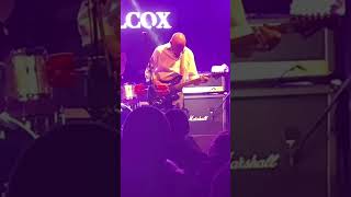 David Wilcox Guitar Solo