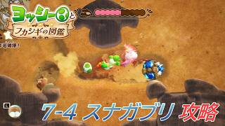 【ヨッシーとフカシギの図鑑】7-4 スナガブリの生息地 調査、フラワーコンプリート【攻略/switch2】