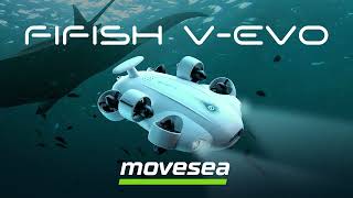 FiFish V-Evo 🔥 NEW