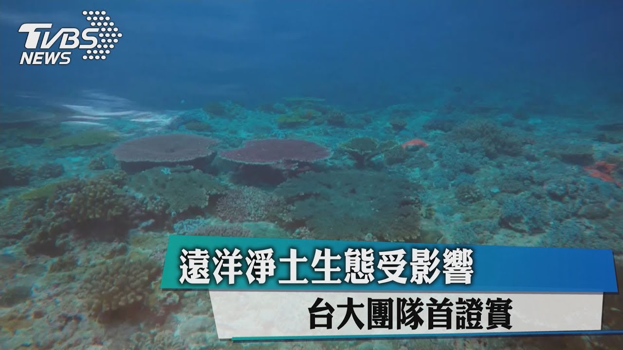 遠洋淨土生態受影響　　台大團隊首證實