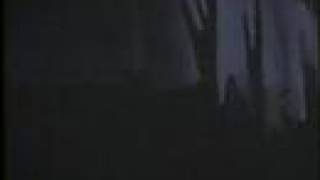 My Bloody Valentine - To Here Knows When Texas &#39;92