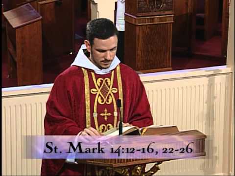 Homily 2012-07-13 - Fr Patrick Mary MFVA - Votive Mass of the Precious Blood