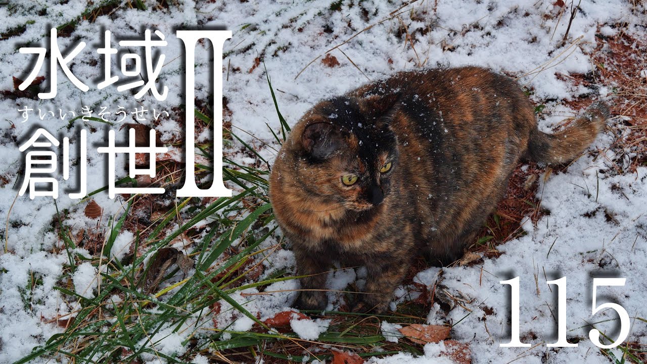 遅い冬の訪れ　水域創世Ⅱ- 115【4K】