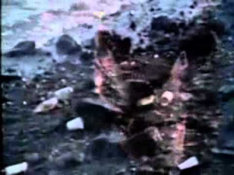 The Crying Indian   full commercial   Keep America Beautiful   YouTube