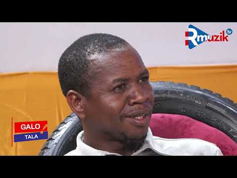 GALO TALA AVEC ORNIS