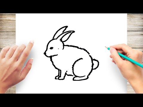 How to Draw a Realistic Rabbit Step by Step for Kids