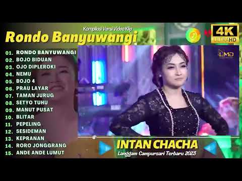 INTAN CHACHA  RONDO BANYUWANGI  BOJO BIDUAN  KOMPILASI LANGGAM CAMPURSARI TERBARU FULL ALBUM 2023