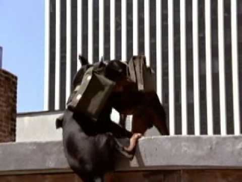 CRAZY BANKROBBIN' DOGS II: THE GREAT ESCAPE