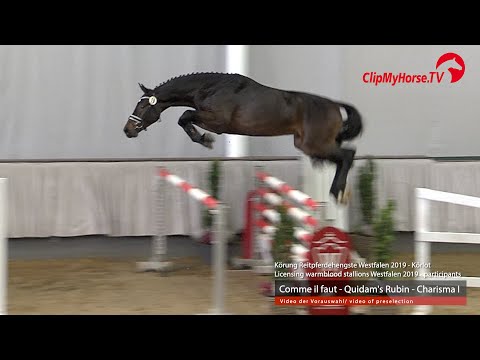 Hengst v. Comme il faut NRW - Quidam's Rubin - Charisma I