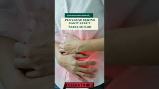 Download lagu penyebab sering sakit perut sebelah kiri kenali yuk mp3