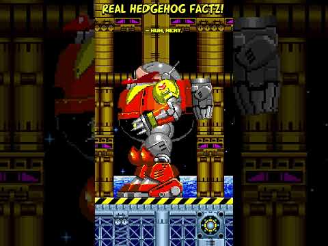 If Sonic The Hedgehog was Scientifically Accurate