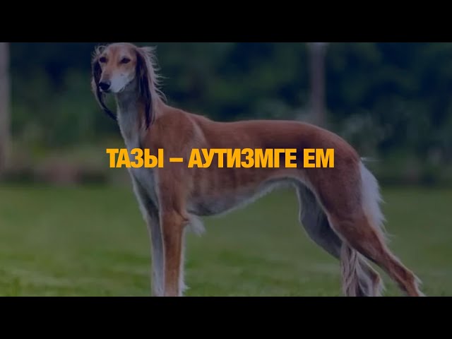 Тазы – аутизмге ем