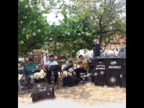 Mehmet Yılmaz erik dali 2017