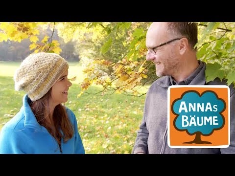 Ahorn | Annas Bäume | Reportage für Kinder | LMU