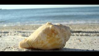 Spoon - Got Nuffin [HD]