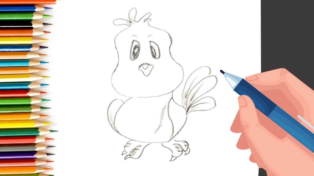 How to Draw a bird 🐥in easy steps! #shorts