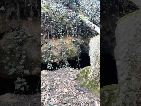 Les Carrières du Château de la Folie Short