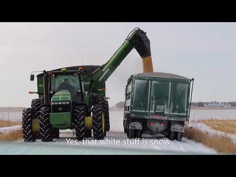 Corn Harvest in December 2019