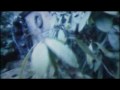 Dismember- Casket Garden