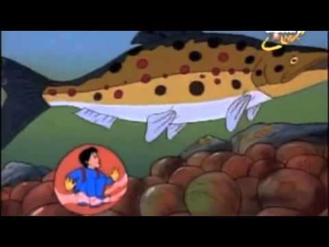 Ruining Your Childhood: Magic School Bus Edition