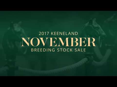 2017 Keeneland November - Street Fancy