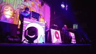 Animal Collective - Bees