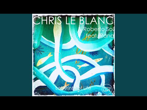 Labyrinth of Life (feat. Rana) (Roberto Sol Remix)