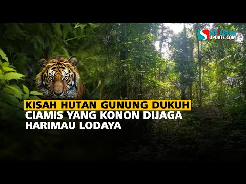 Kisah Hutan Gunung Dukuh Ciamis yang Konon Dijaga Harimau Lodaya
