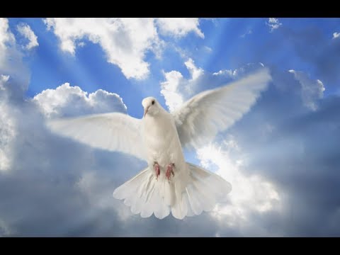 Espíritu de Dios, llena mi vida