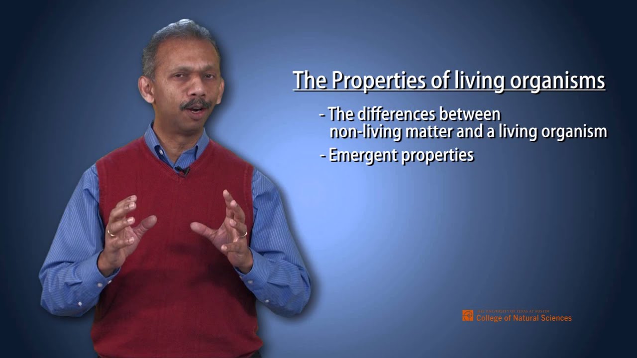 Introduction to Biology