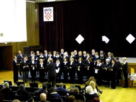 Zdravo Majko, Djevice -Mješoviti pjevački zbor župe BDM Žalosne -- Špansko, Zagreb