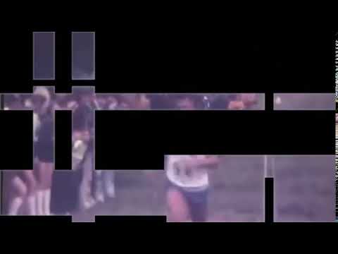 Paul David Heckhausen feat. Jaron Tripp - Hang zur Sonne (Tour De Traum VIII)