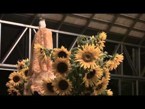 DOU VIVA AO SOL - FLOR DE JAGUBE - PAD.VALDETE 31