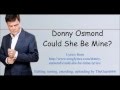 Donny Osmond  - Could She Be Mine Lyrics