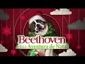 CHAMADA DO FILME BEETHOVEN E SUA AVENTURA DE NATAL NA TELA DE SUCESSOS 18 12 20