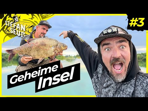 Catfish and carp at the lake #3 | XXL baitfish!? | The catfish are going crazy!!