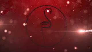 Mutlu Yıllar Türkiye - beyinvesinir.com - 2017