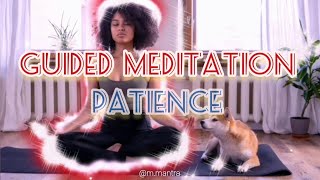 Guided Meditation for Patience | Cultivate Calmness and Resilience | Meditation Mantra