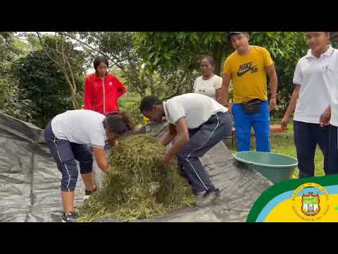 HIMNO DEL MUNICIPIO LA SIERRA CAUCA