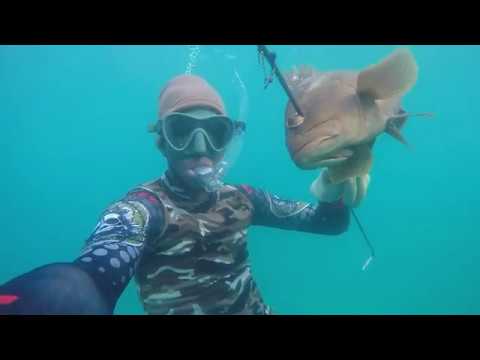 Spearfishing in Antigua Waters, homemade speargun (Aug 16,2017)
