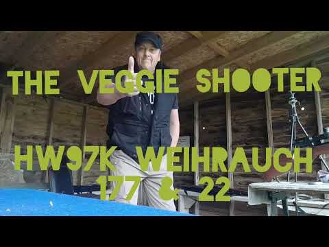 The Veggie Shooter (hw97k weihrauch 177 & 22)