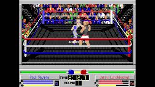 4D Sports Boxing - Amiga