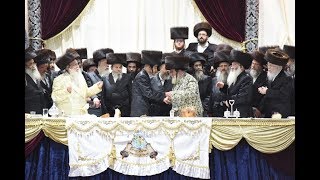 שמחת בית צאנז -  האדמו"ר מויז'ניץ | Sanz Wedding - Viznitzer Rebbe