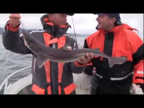 JENZI 2014 - Meeresangeln in Norwegen mit Torsten Ahrens