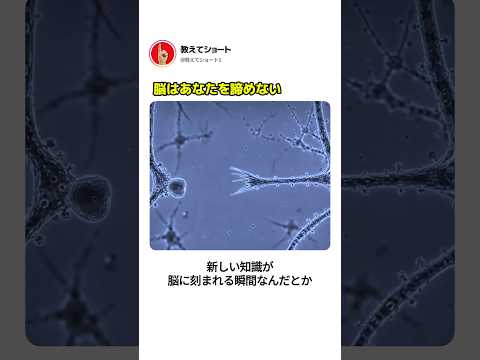 脳はあなたを諦めない
