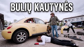 Kas Sudaužė Langus ir Mindaugo Širdį? | BULIŲ KAUTYNĖS #7