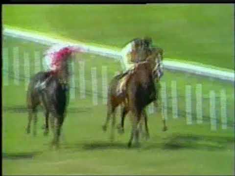 1985.06.16, nº 166 LZ (San Miguel (3a) 1ª Carimañola, 2º Sea Fairy, 3º Damoetas, 4ª Nebraska