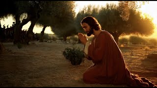 ✨ Eli, Eli - Cry of Grace | Official Music Video 🙏🎶