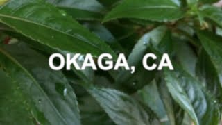 OKAGA, CA